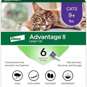 Advantage II Large Cat Vet-Recommended Flea Treatment & Prevention